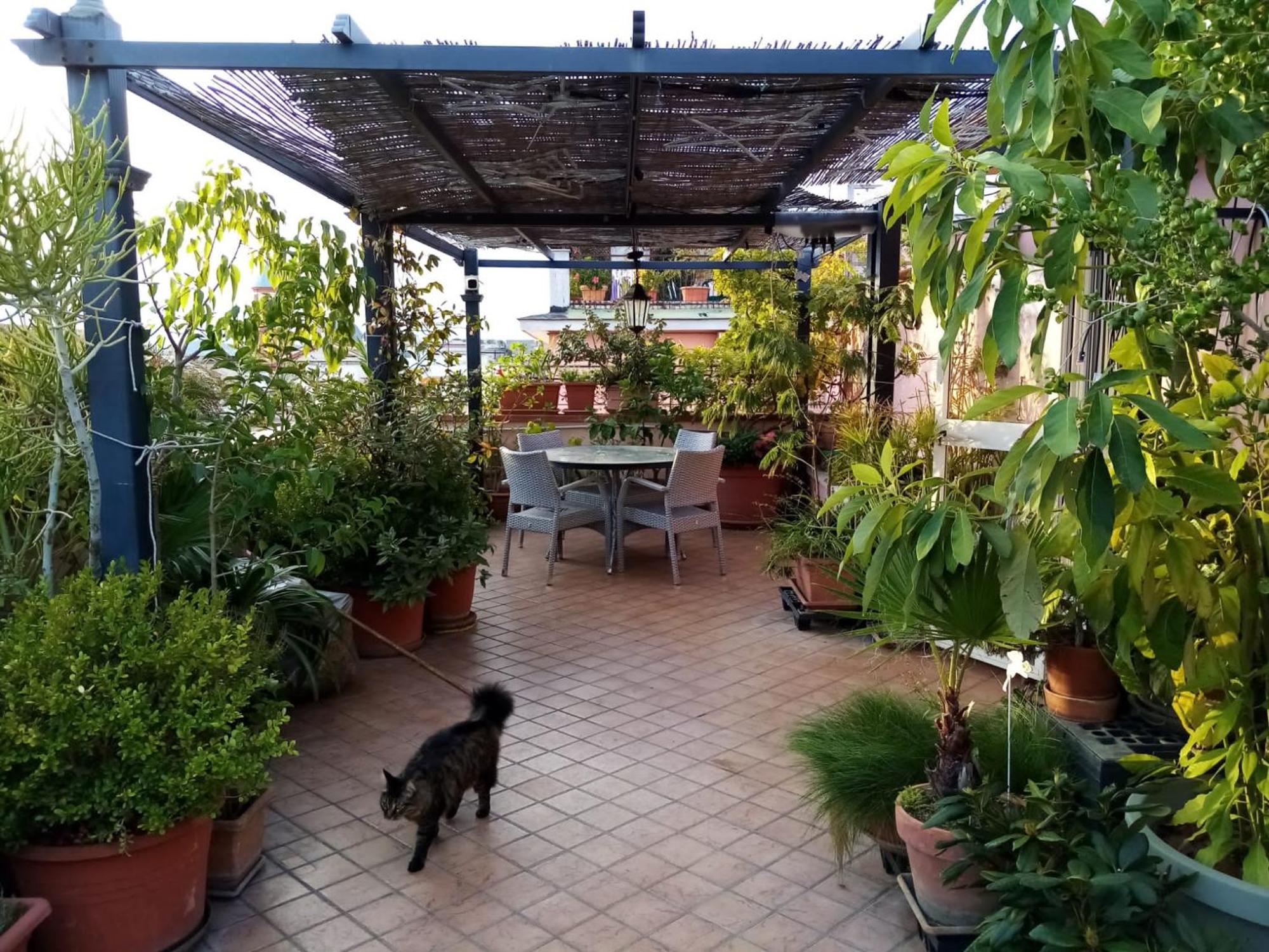 Il Nido Della Quaglia B&B - Jaba Mia House Lt Pouzzoles Extérieur photo